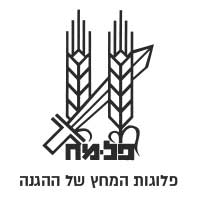 ההסטוריה של הפלמ"ח