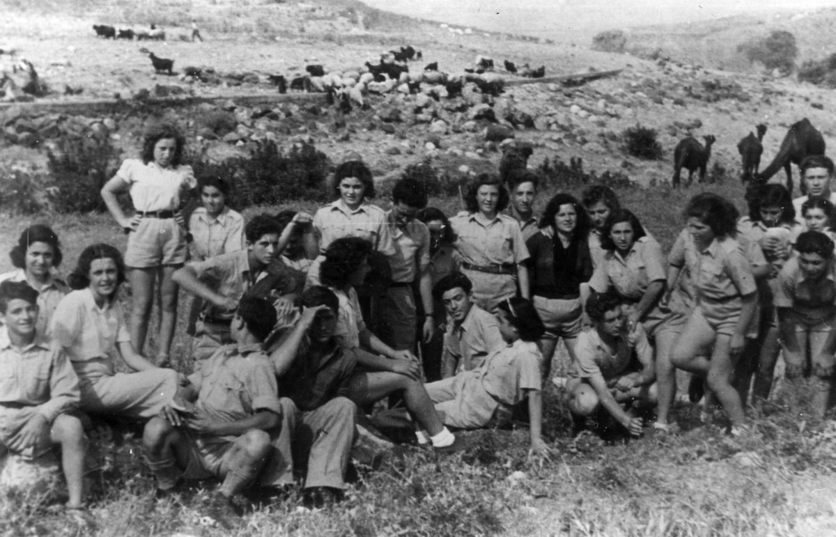 הפלוגות תחילה