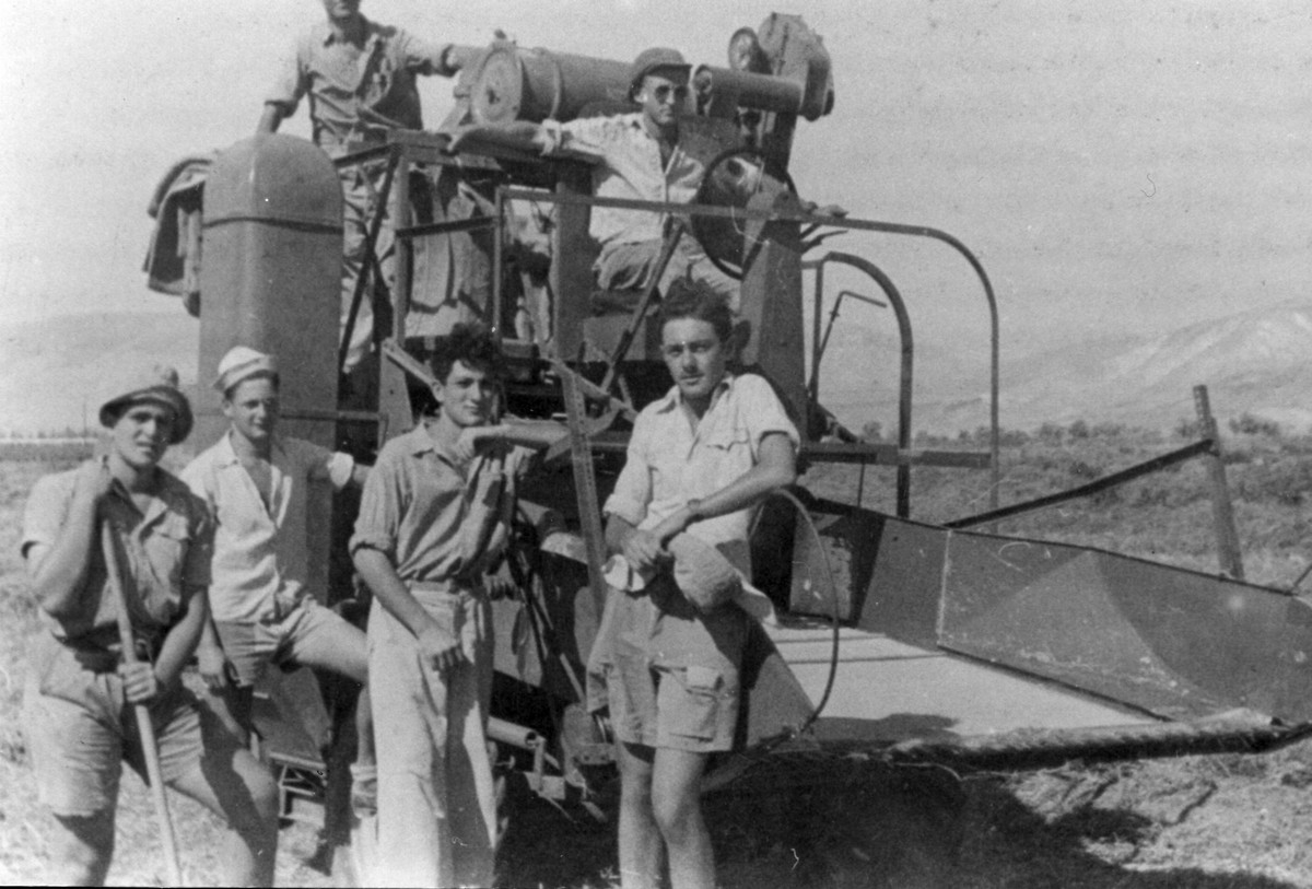 משתלבים בכל ענפי המשק