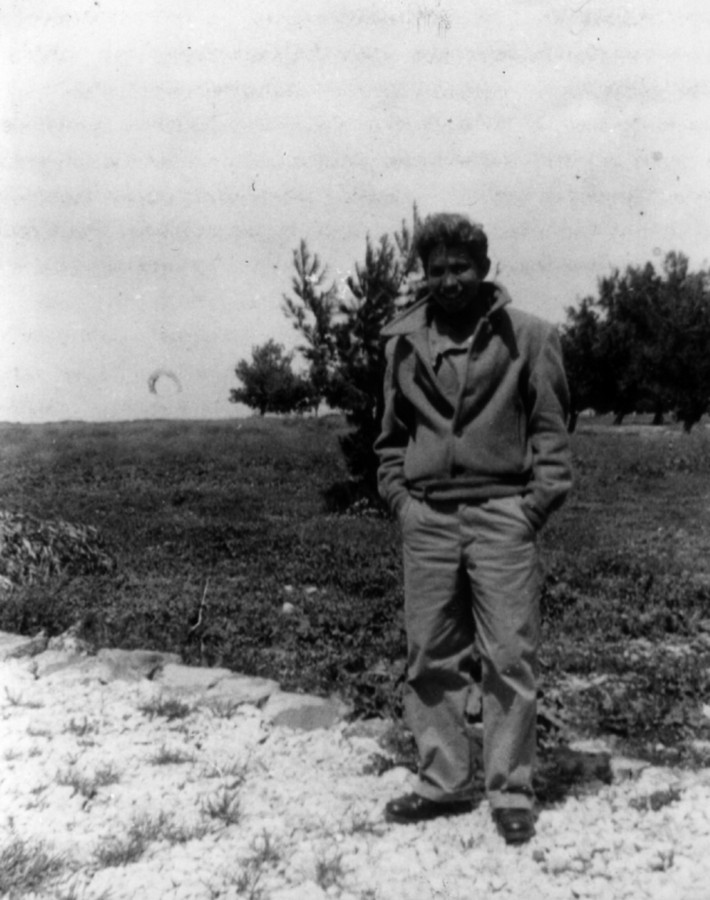 13.4.1948 – פשיטה על הכפר חלסה