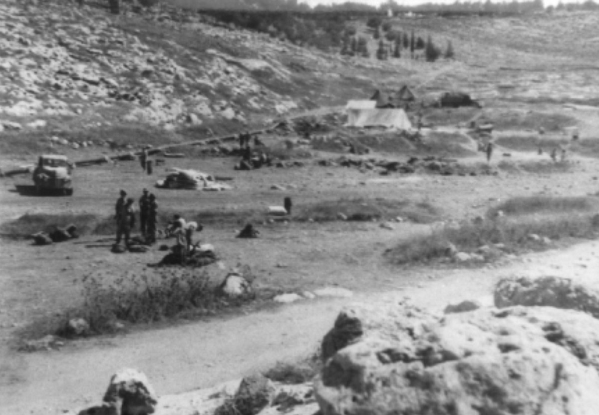 סריס (כיום שורש)