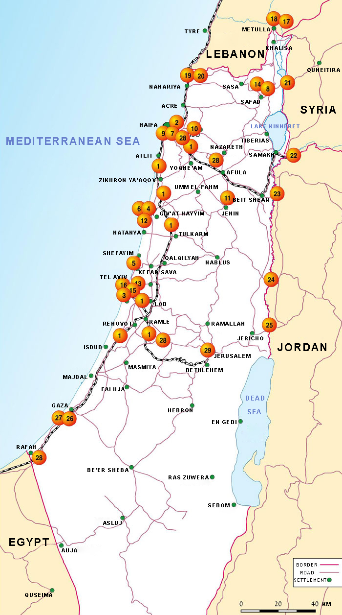 The Palmach Operations within the Jewish Resistance Movement Image 