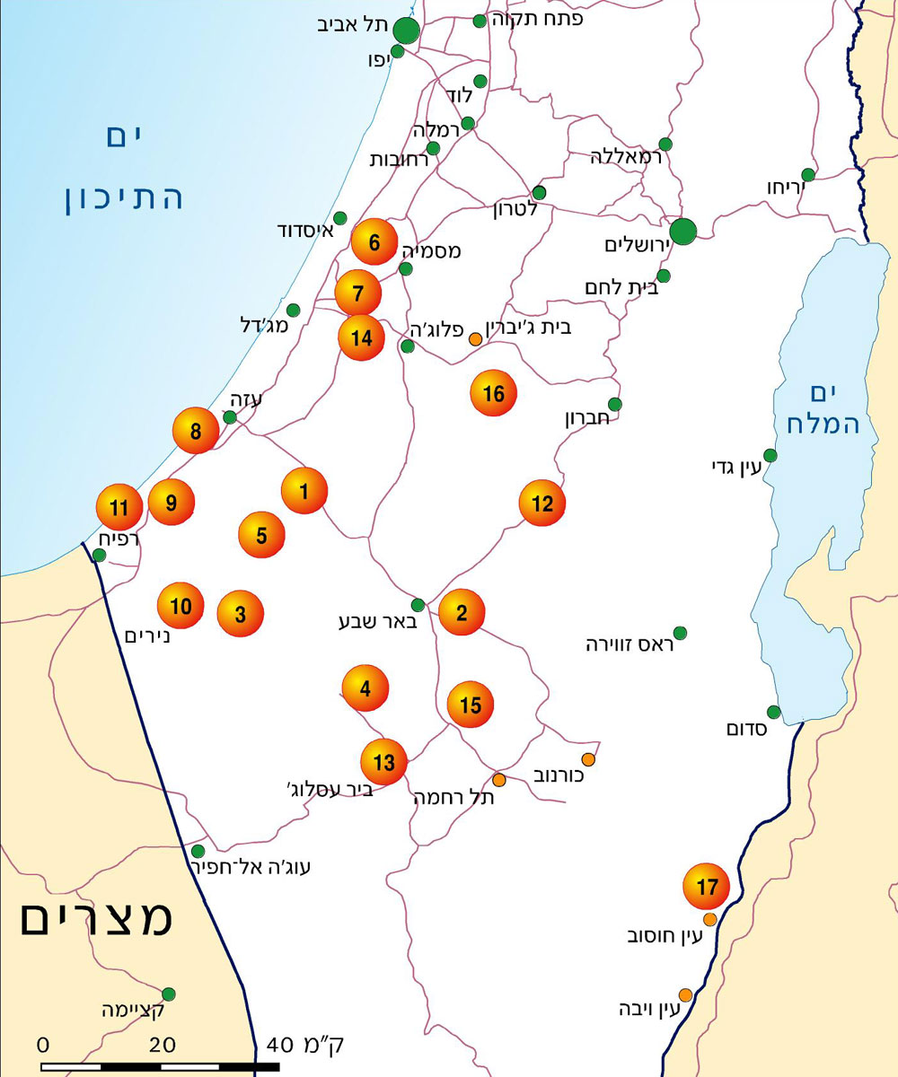 הגדוד השמיני (חטיבת הנגב - גדוד "הנגב הדרומי")  תמונה 