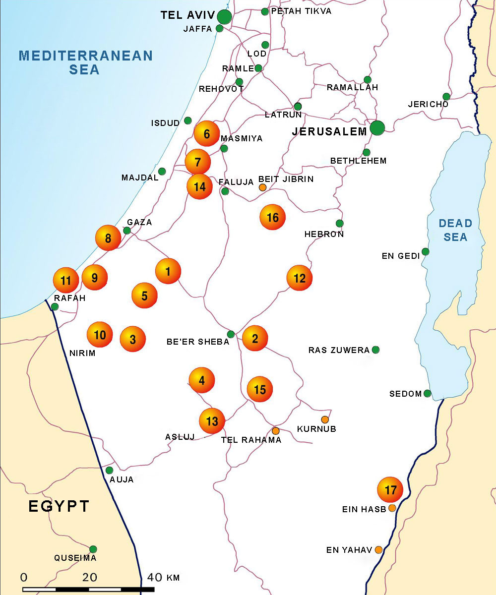 The Eighth Battalion - "Southern Negev" (Negev Brigade) Image 