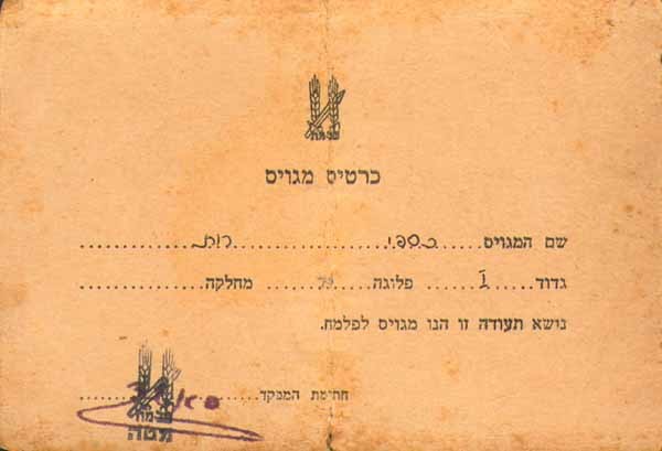 תמונה כרטיס מגוייס