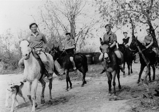 תמונה יחידת הרוכבים, חטיבת הנגב