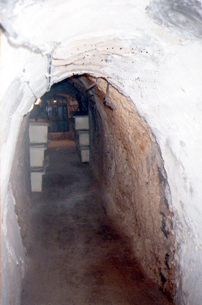 תמונה סליק "השומר" בכפר גלעדי
