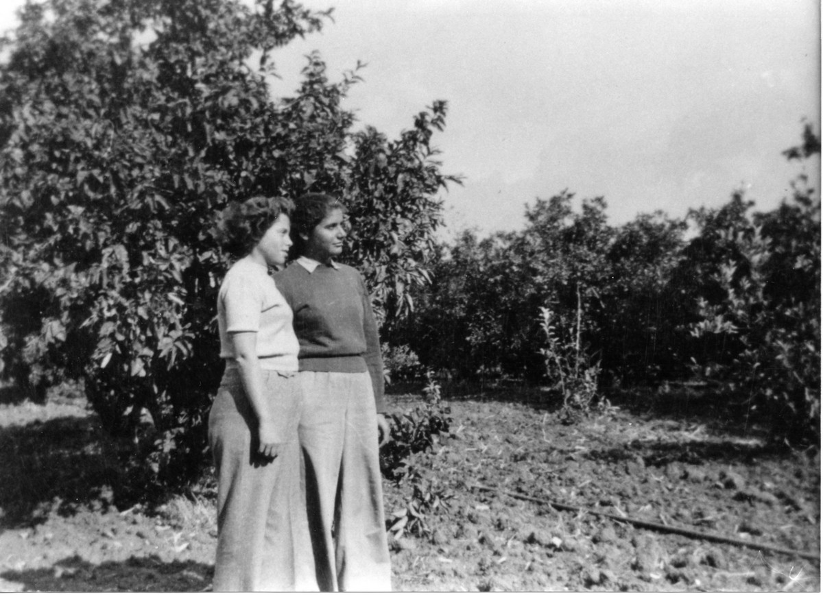 פלוגה ב' – בהתארגנות בבית-דראס