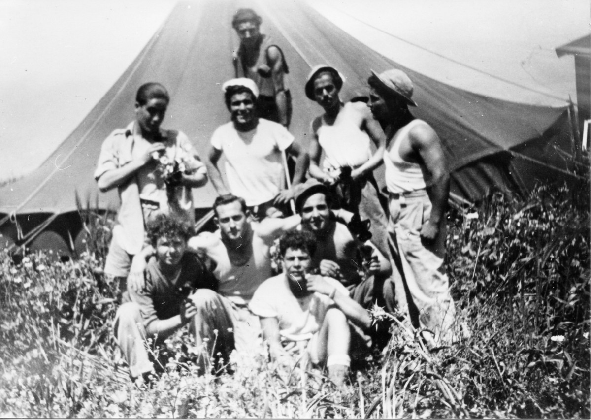 במשלטים