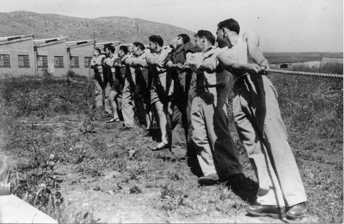 אביב במנסורה