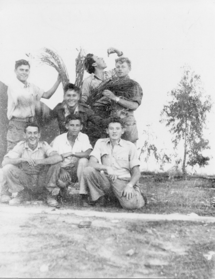 לקראת השחרור מצה"ל
