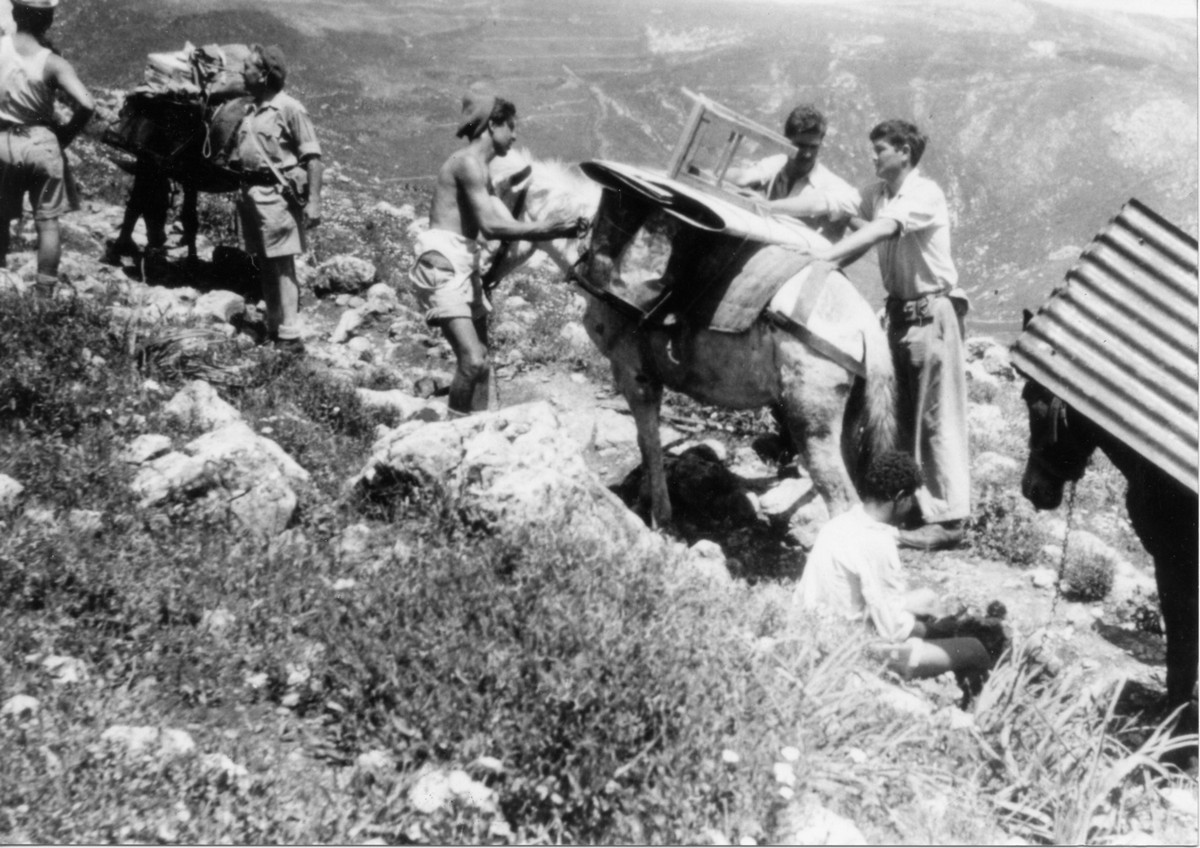 הכשרת הנוער-העובד דפנה 1948 - 1945