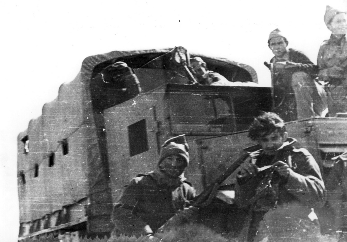 תמונה  חיות הנגב  
