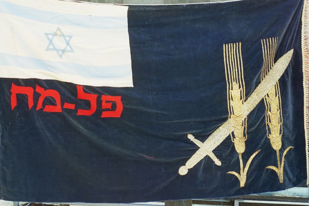 תמונת מוצג  דגל הפלמ"ח
