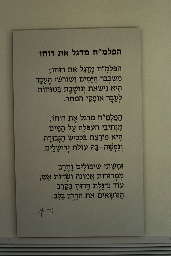 תמונת מוצג  הפלמ"ח מדגל את  רוחו