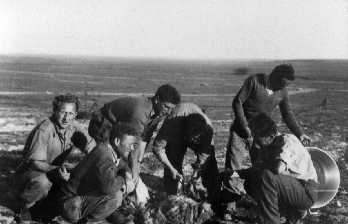 תמונה הגדוד השמיני