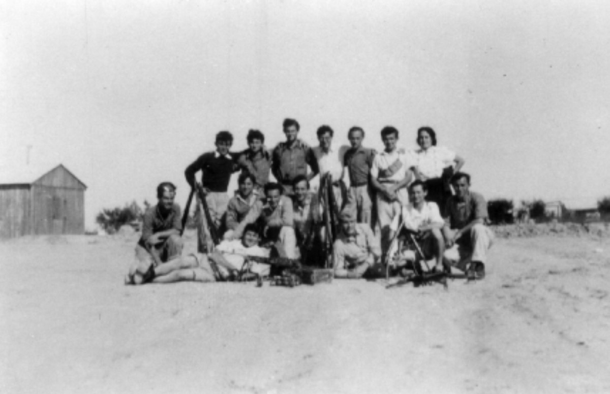 גזרת בית אשל- נבטים