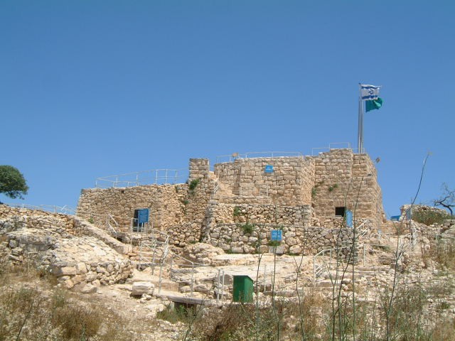 Image 1