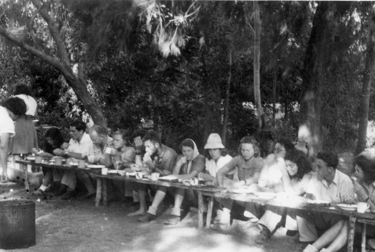 פלוגה ו' 1941 - 1947