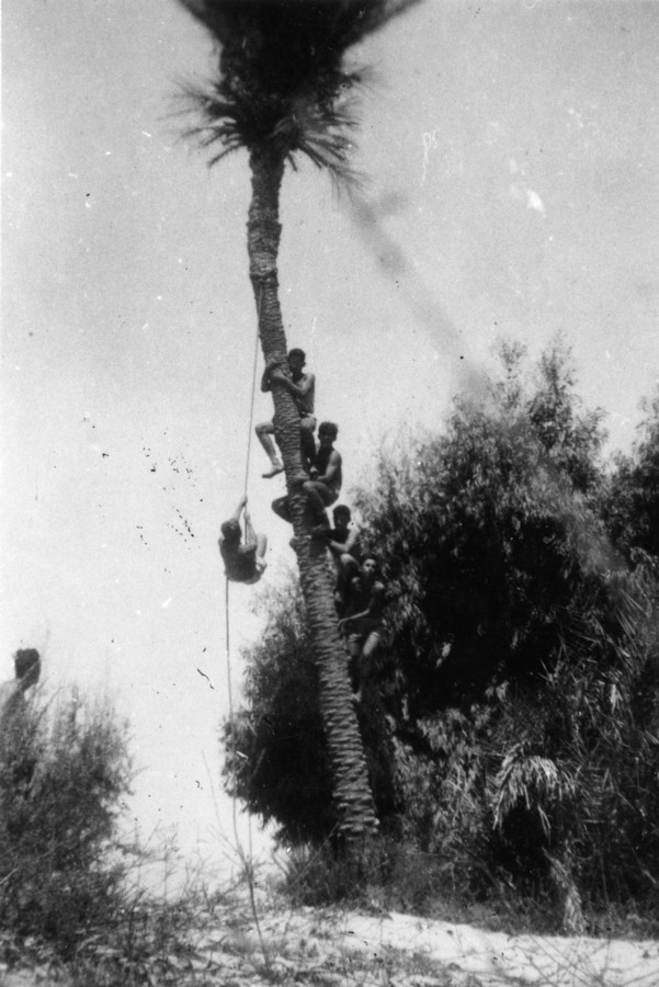 פלוגה ו' 1941 - 1947