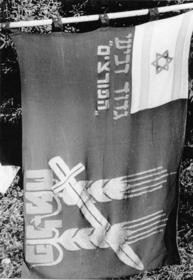 הוכרזה ההפוגה הראשונה