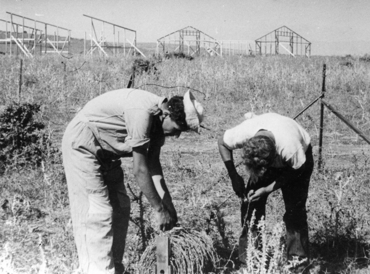 הקמת קיבוץ הסוללים בבקעת בית נטופה-יולי 49