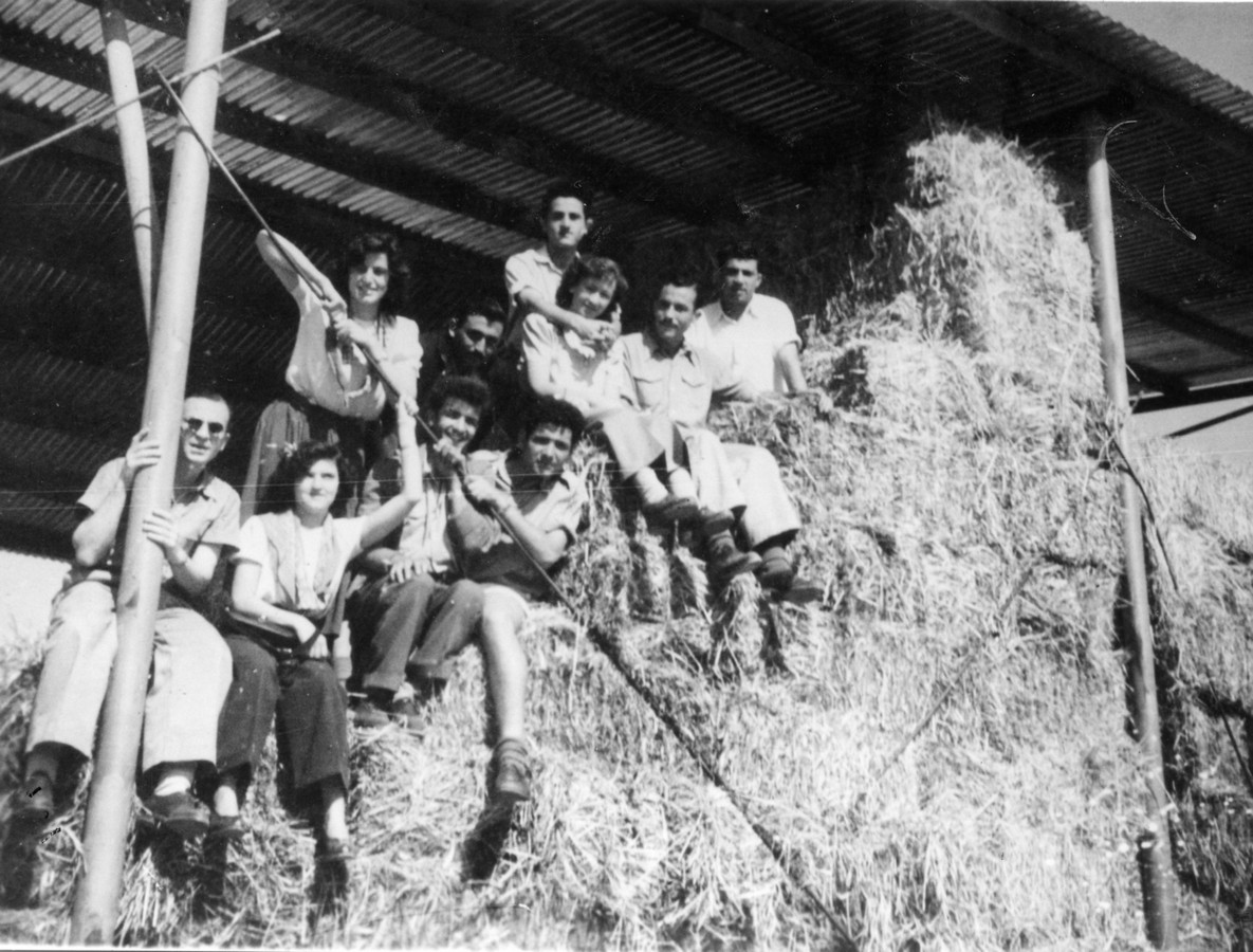 מפגשים חברתיים וטיולים של חברי ההכשרה לאחר תום מלחמת העצמאות(1949)