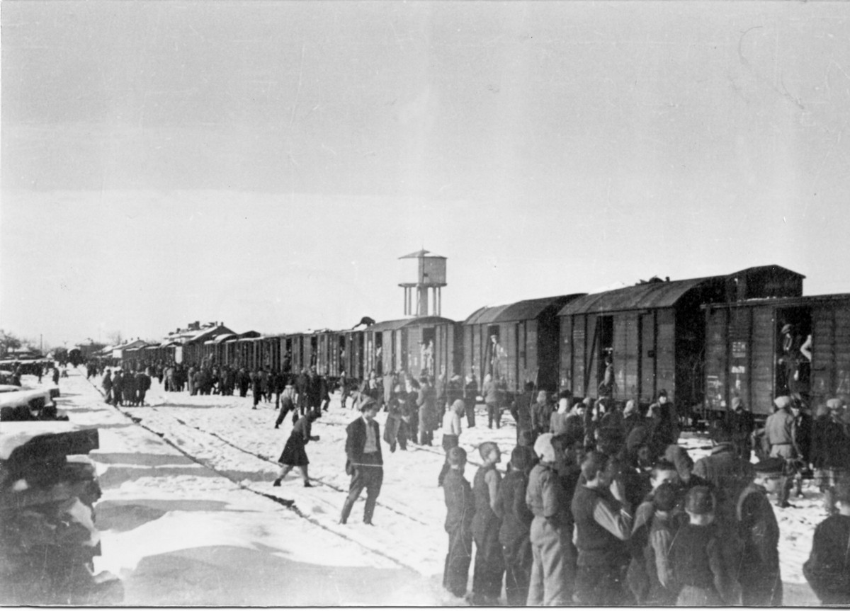 הפאנים : הדרך להעפלה