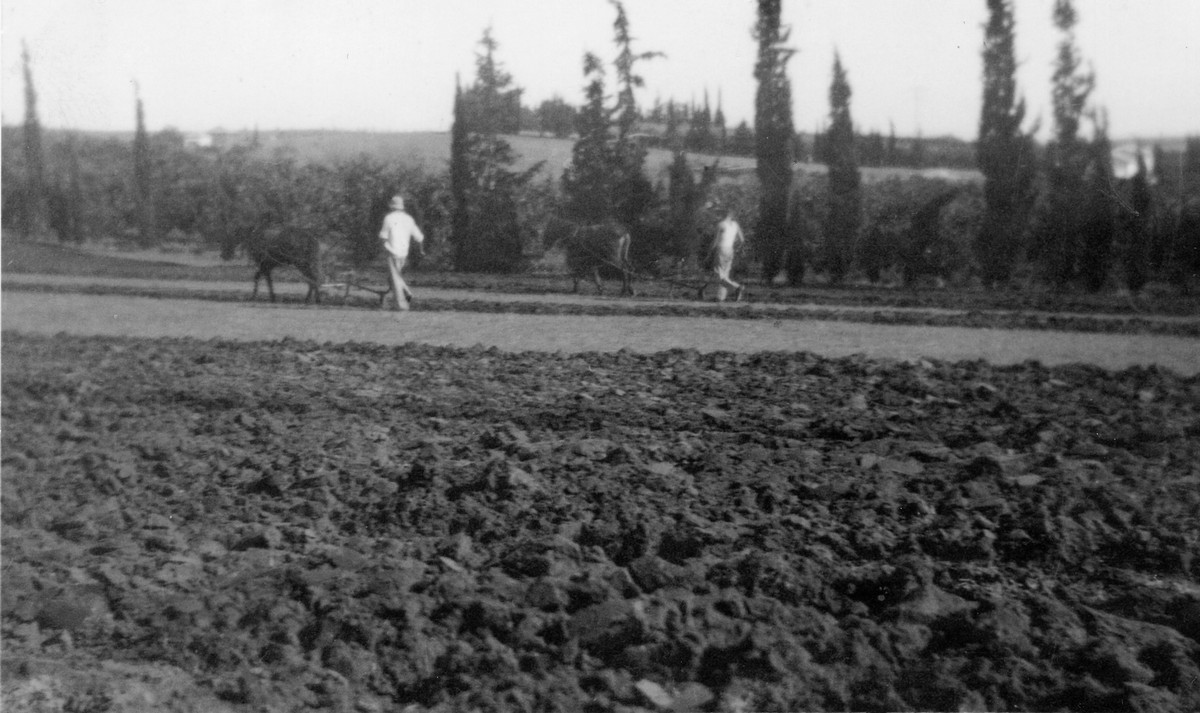 פלוגה ג' – פורצי מעלה פלמח