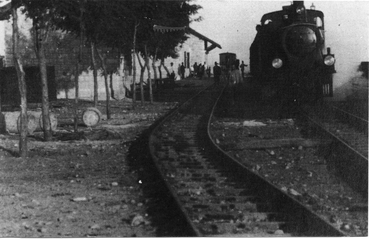 רכבת העמק