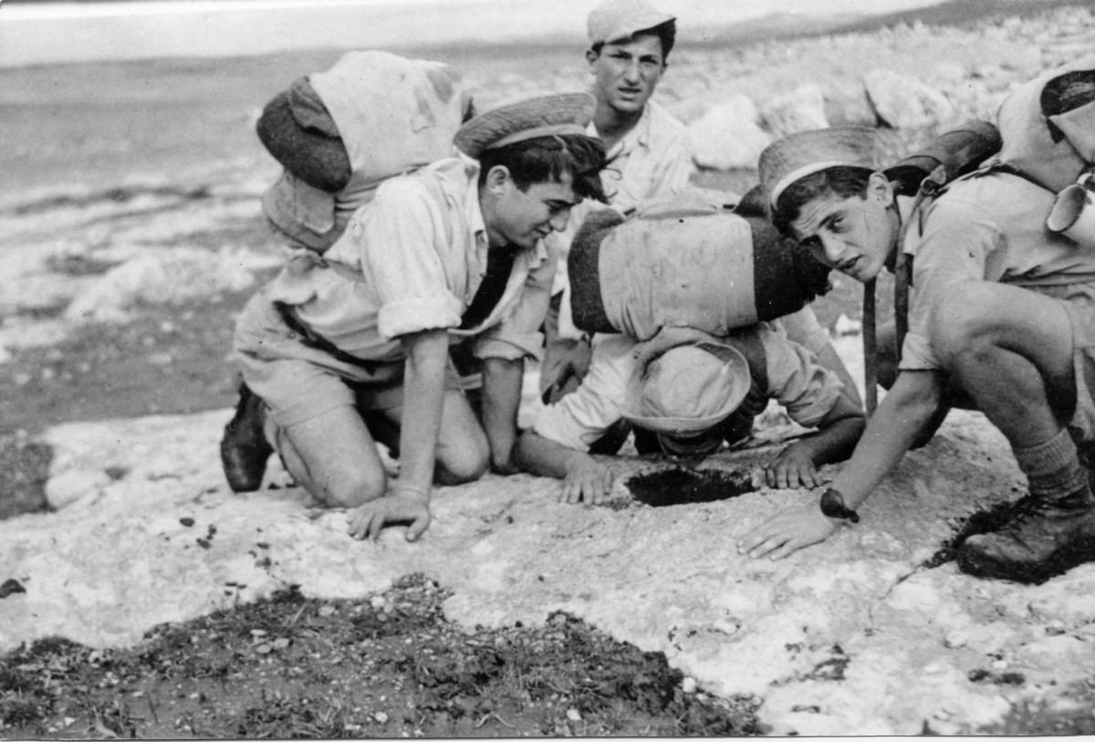 סיורים, טיולים ומסעות