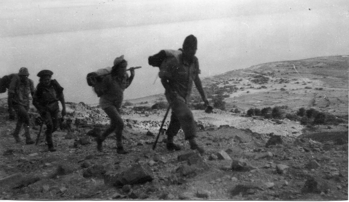 סיורים, טיולים ומסעות