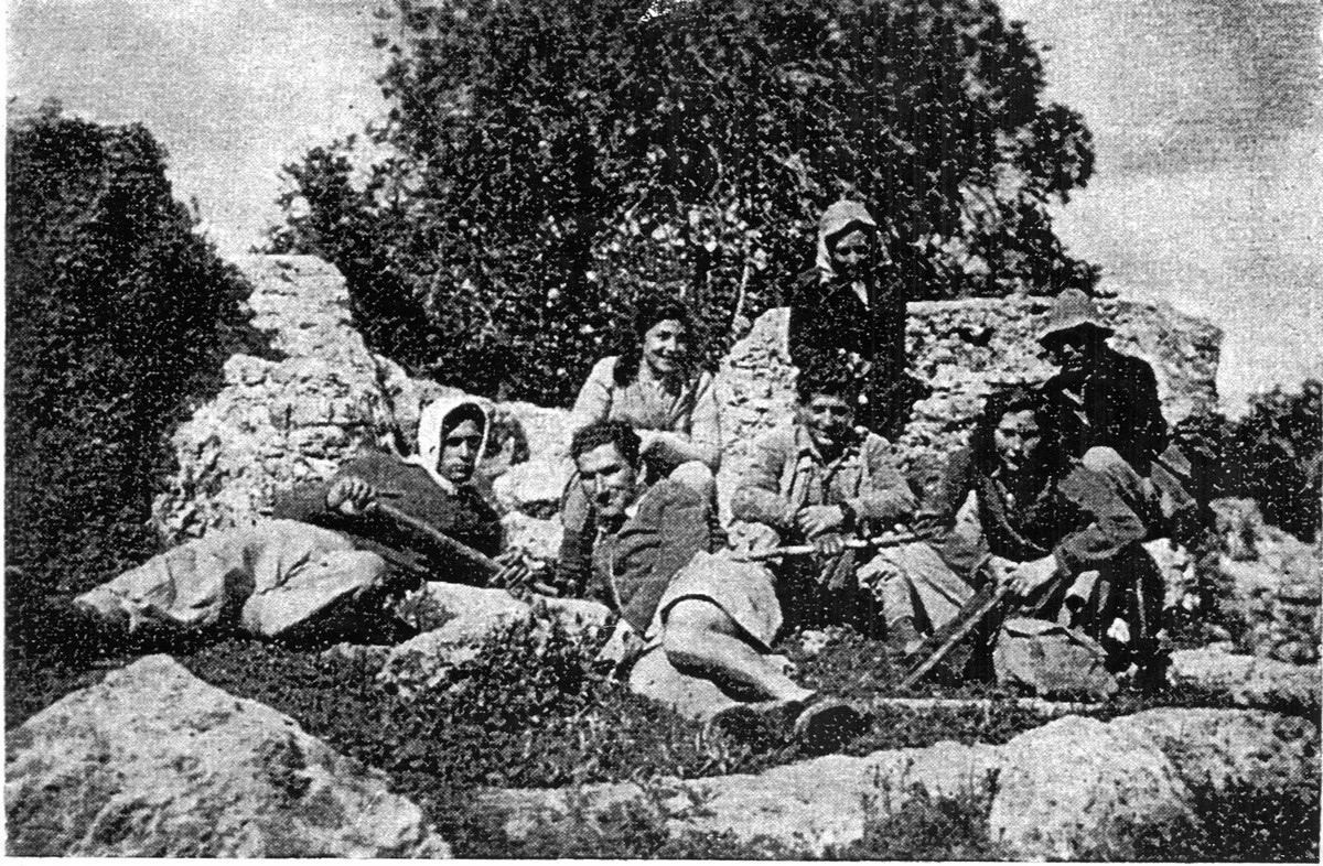 גילה בן עקיבא - דרוקר