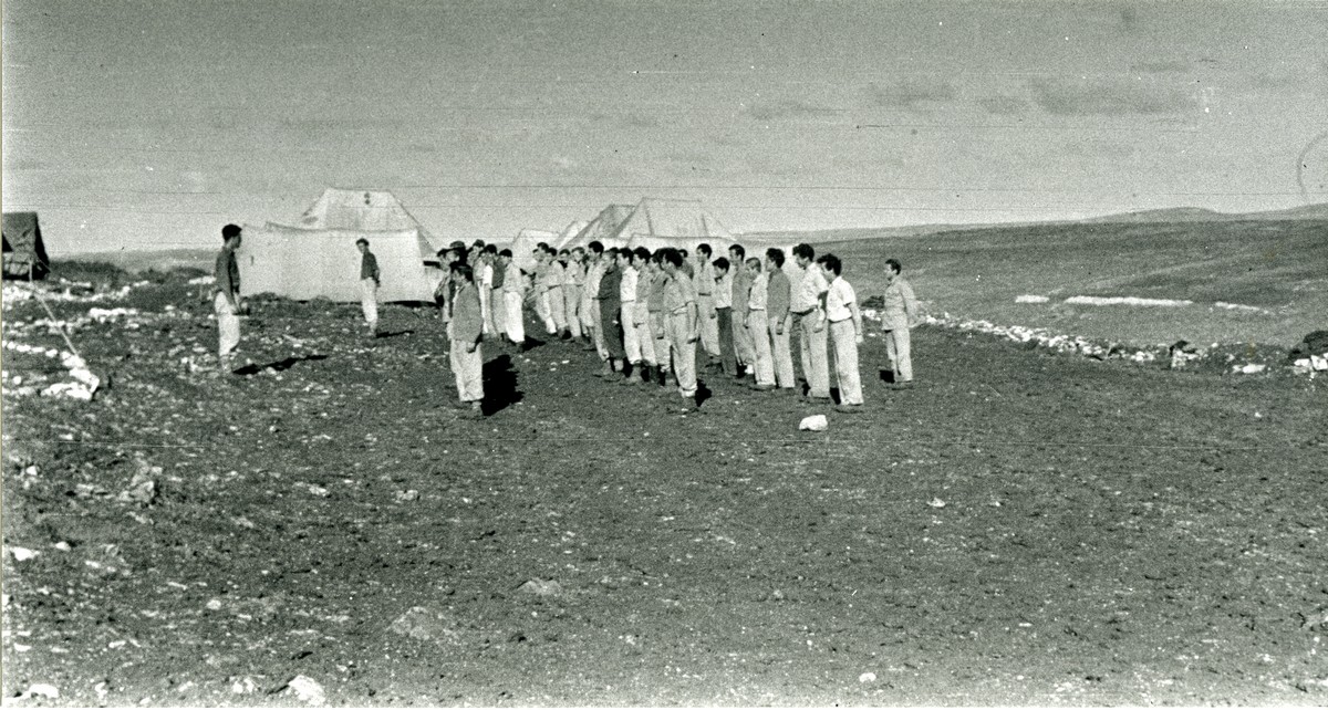 מפקדי כתות דליה