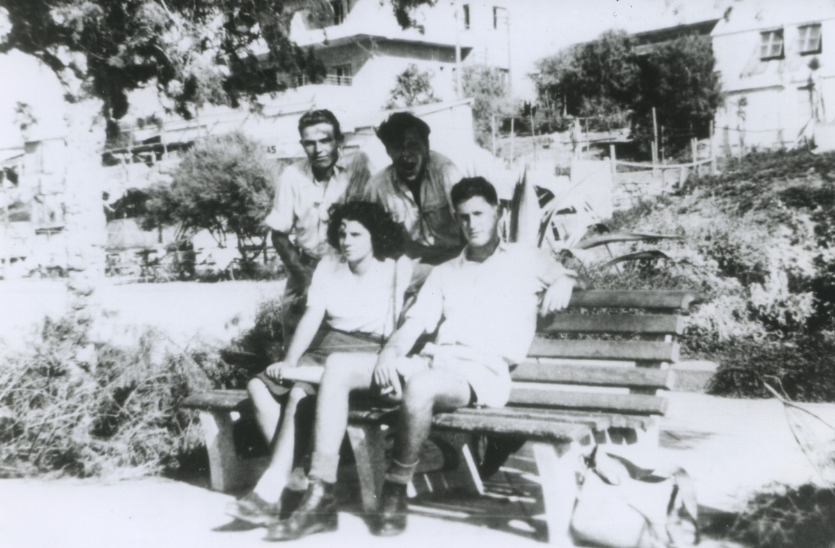 זהרה לביטוב