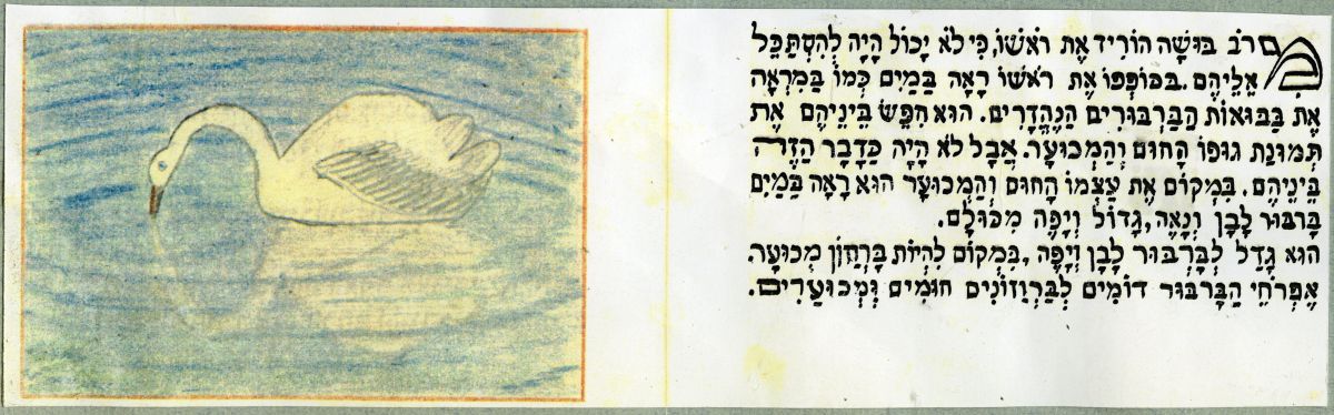 הברווזון המכוער מבית הסוהר