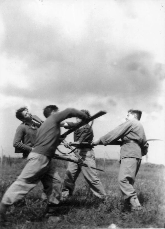 אימונים במחנה ישראל