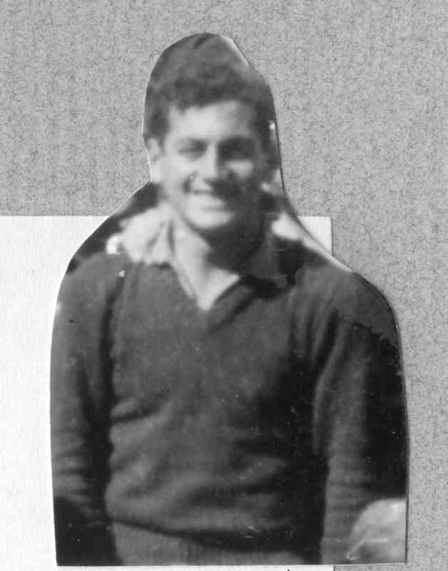 פלוגה מסייעת