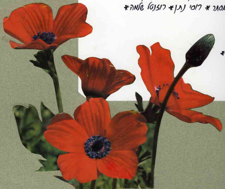 נזכור חברים ולוחמים