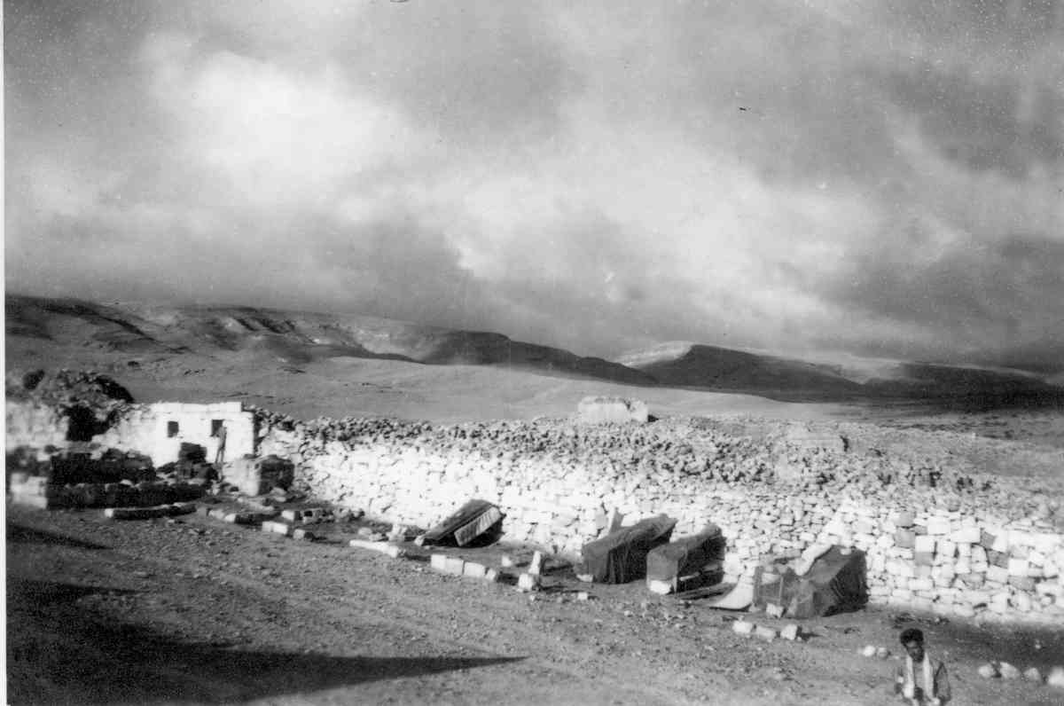 כיבוש כורנוב, יחידת החבלנים, גדוד 7