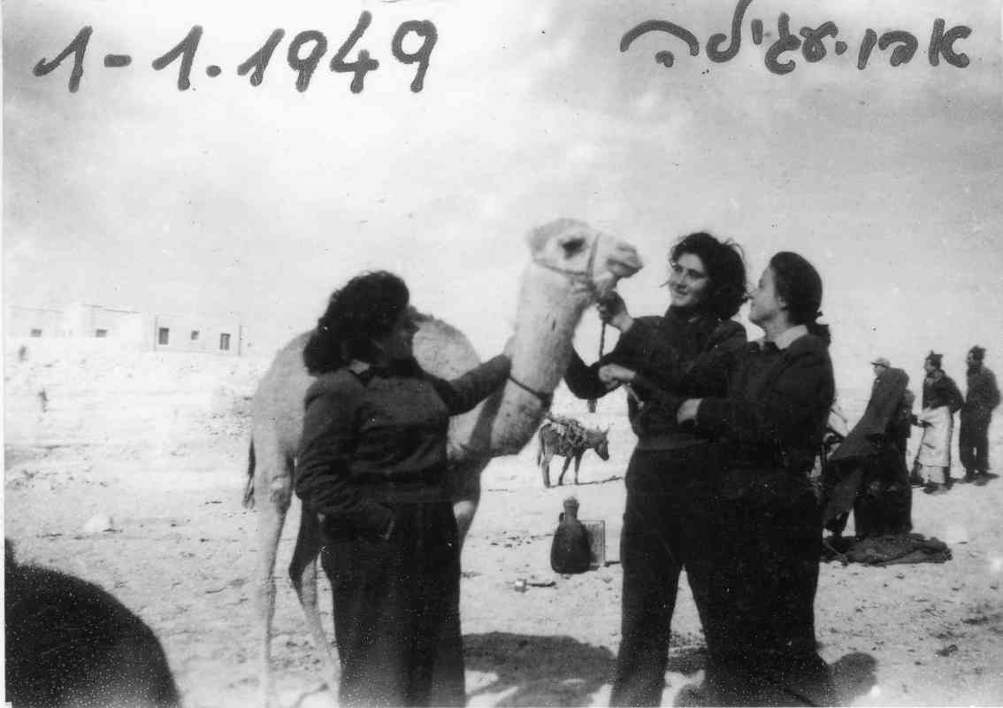 בכניסה לאבו עגילה