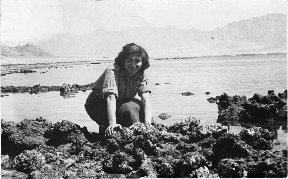 אחזקת הקו בערבה