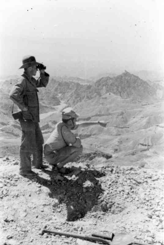 סיורים בערבה