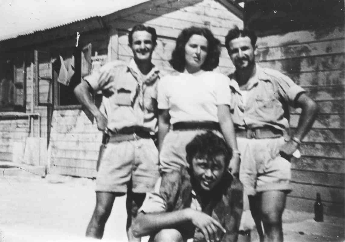 חופשות בצפון