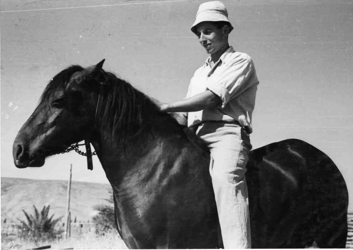 תחבורה חליפית