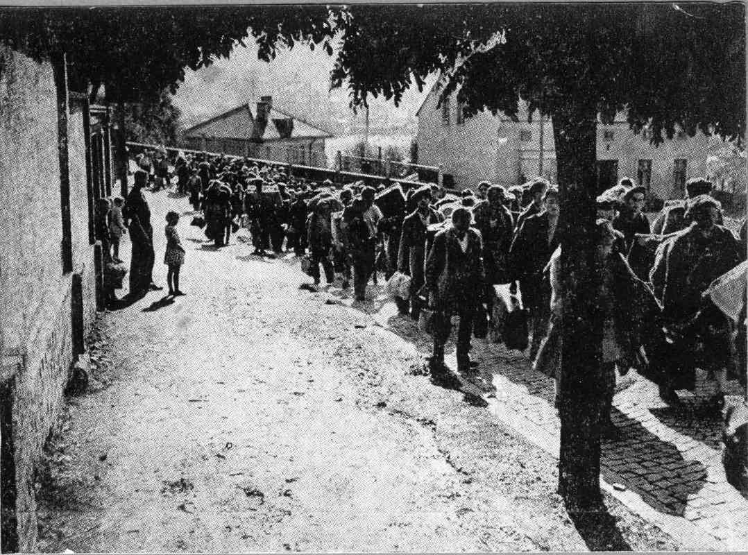 המוסד לעלייה ב'