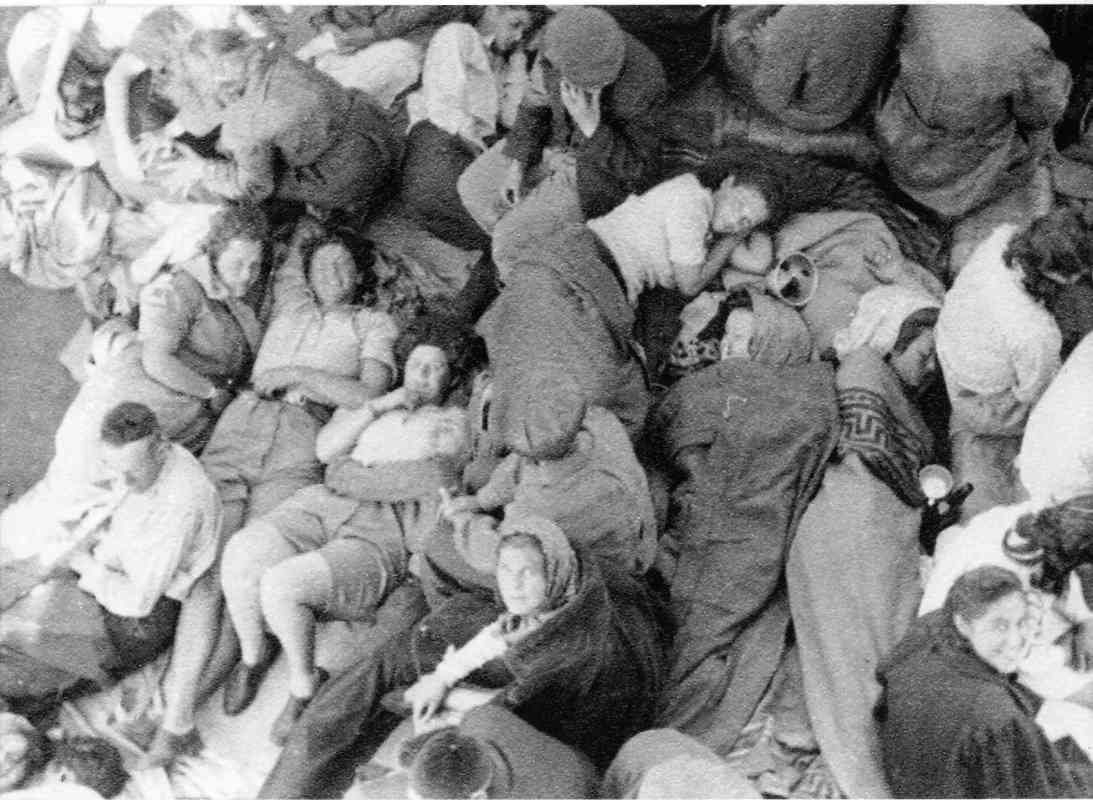 אניית ההגנה