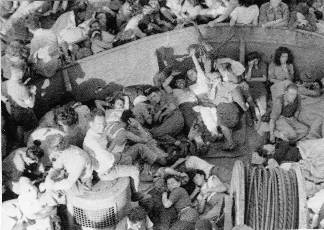 אניית ההגנה