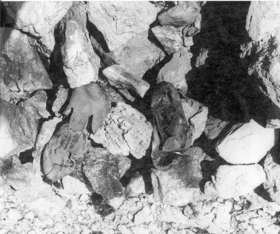 האנייה "רפיח", ביקור באי סיריניה