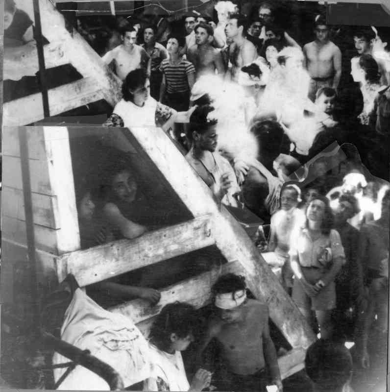 במכלאות בחום יולי-אוגוסט